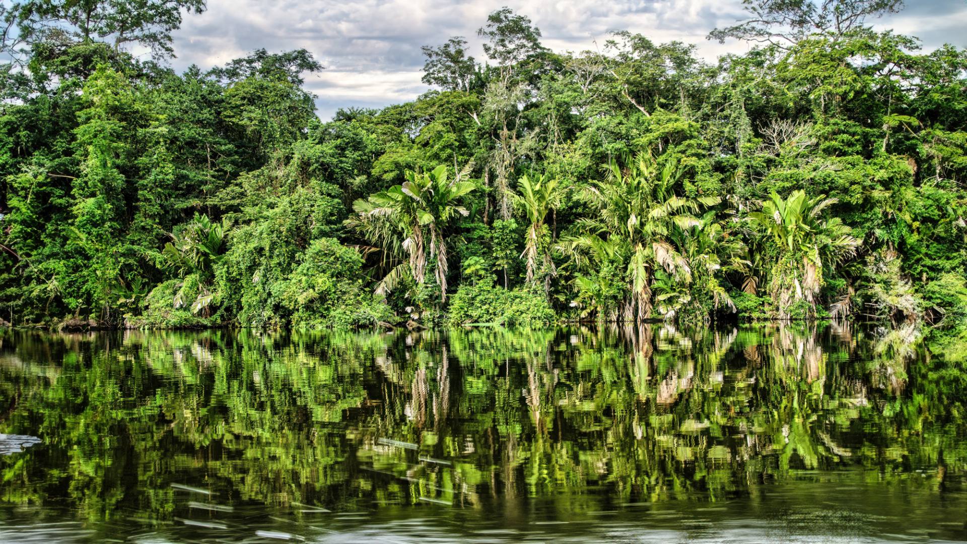 Bootsfahrt im NP Tortuguero